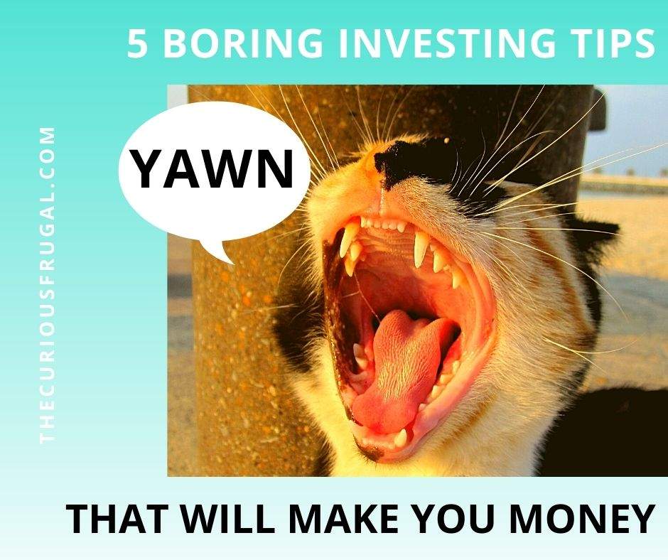 5 Boring Investing Tips For Beginners That Will Make You Money (bored kitty yawning)