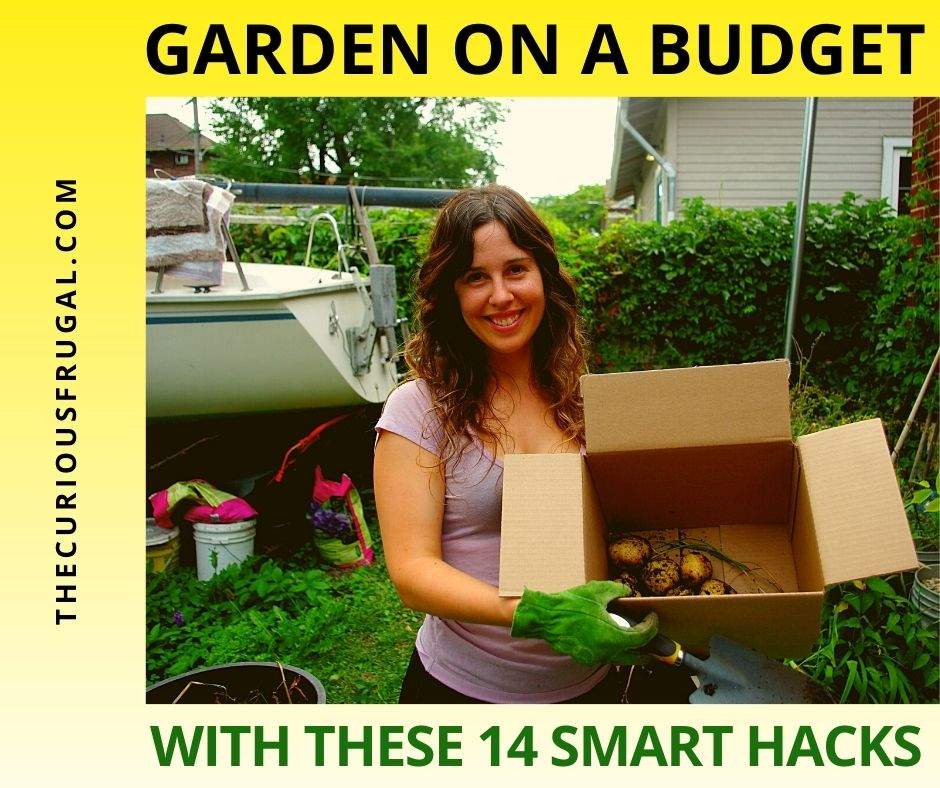 Garden on a budget with these 14 smart hacks (woman in a backyard garden holding a box of potatoes she dug up)