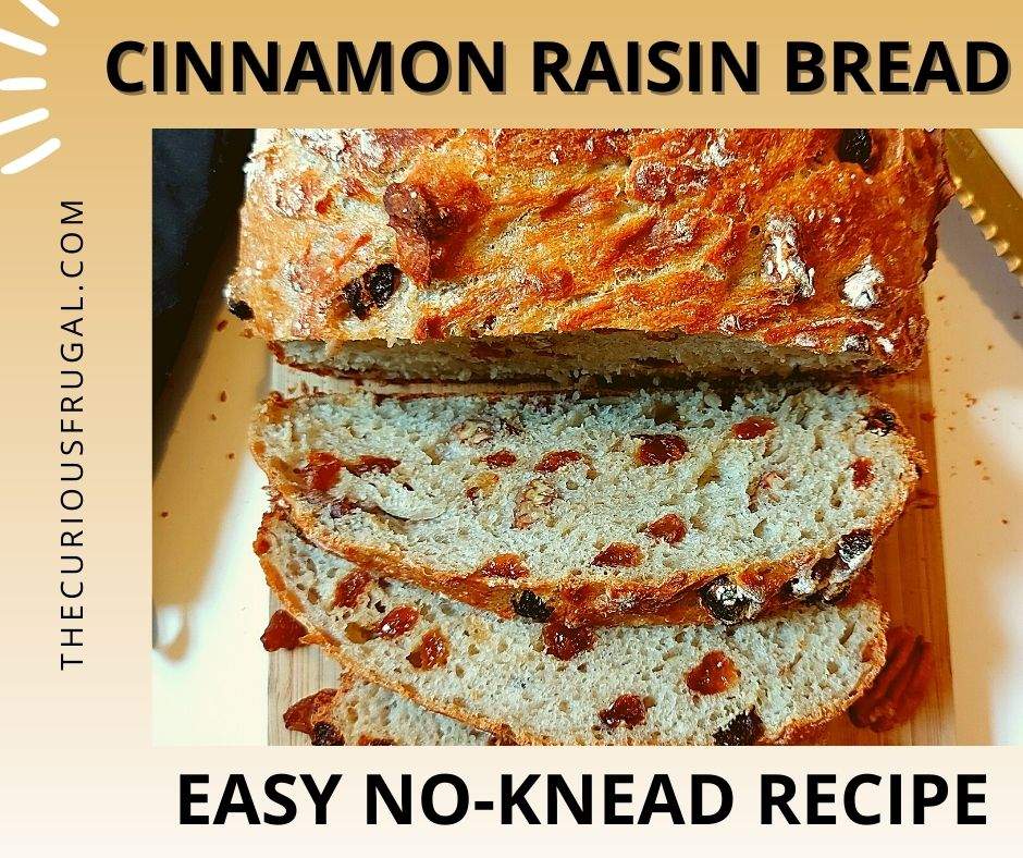 Cinnamon Raisin Bread Recipe with Pecans Easy and NoKnead Money tips for moms