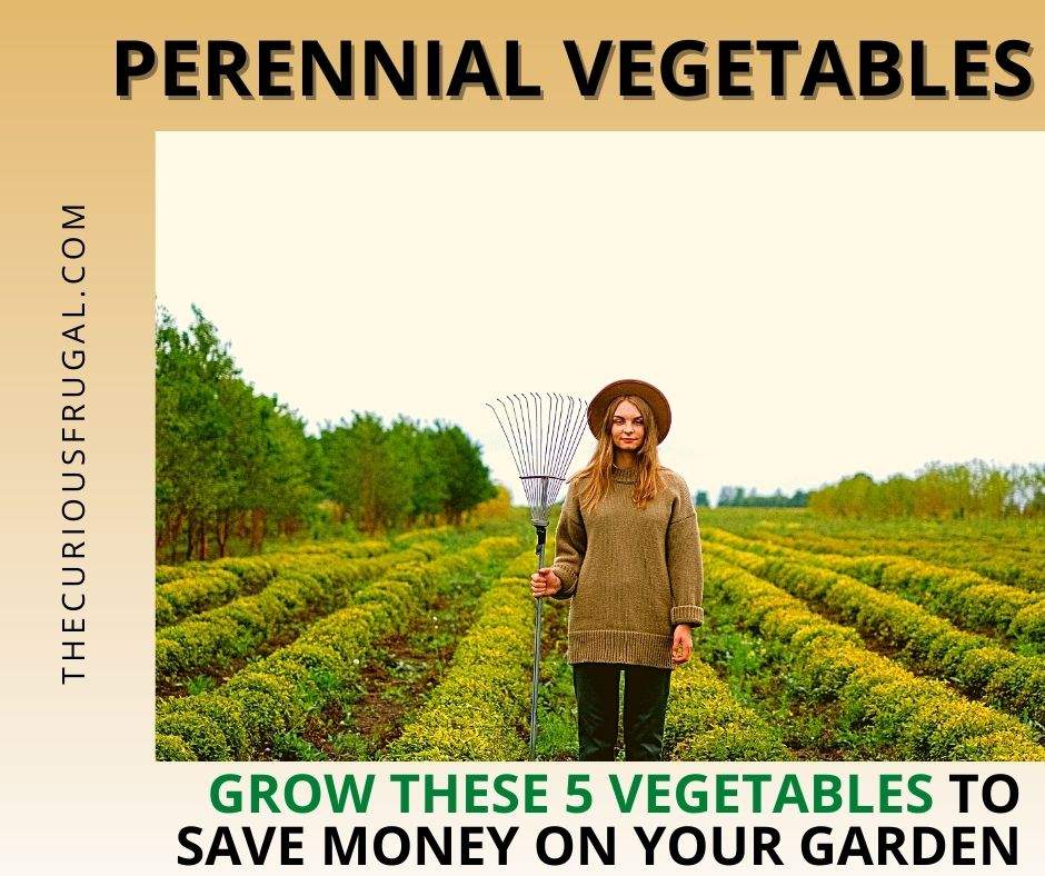 Perennial vegetables: grow these 5 vegetables to save money on your garden (women with a rake gardening)
