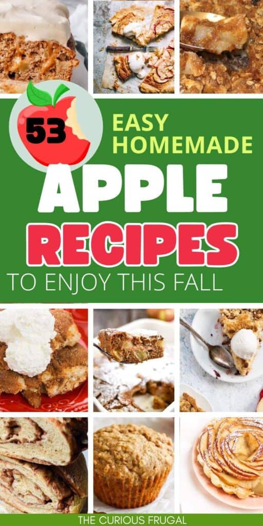 If you're looking for the perfect way to embrace the crisp, cozy vibes of fall, apple recipes are the ultimate go-to. Whether you're baking up something sweet, crafting a savory dish, or whipping up a refreshing cider, apples are the star of the season. From classic apple pies to creative twists on your favorite comfort foods (apple scones! apple cheesecake!), these apple recipes will have your kitchen smelling like autumn in no time.