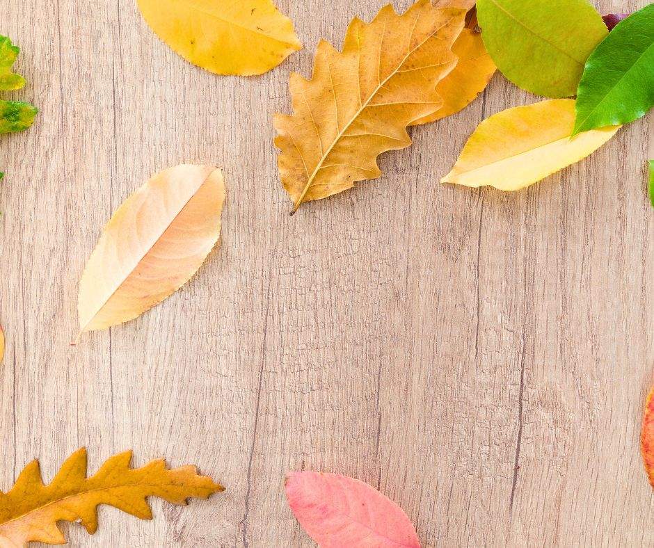 Get inspired with these 10 fun and easy fall crafts for adults! From DIY wreaths and pumpkin projects to cozy candle holders and rustic home décor, these autumn craft ideas are perfect for a creative weekend. Whether you want budget-friendly fall decorations, farmhouse-inspired DIY projects, or seasonal crafts to make your home feel cozy, you’ll love these simple and beautiful ideas for fall.