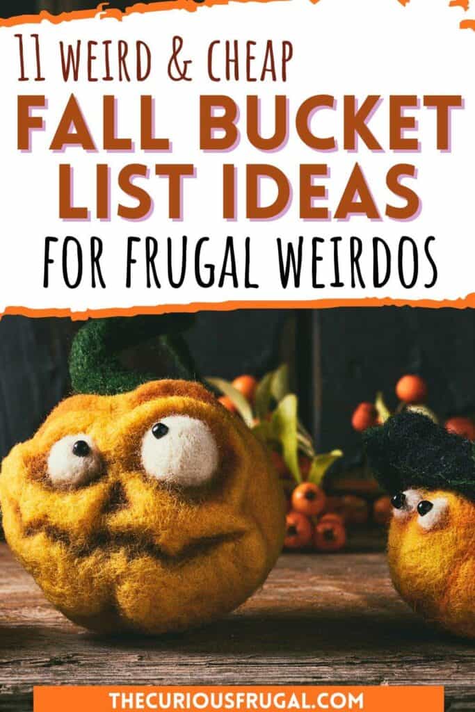 Tired of the same old pumpkin patch and apple picking routine? This list of unique fall bucket list ideas is perfect when you’re bored of the usual activities. From creative DIY projects and cozy at-home adventures to unexpected seasonal fun, these new fall activity ideas will help you refresh your autumn bucket list. Perfect for couples, families, or anyone who wants to enjoy fall in a more creative, memorable way.