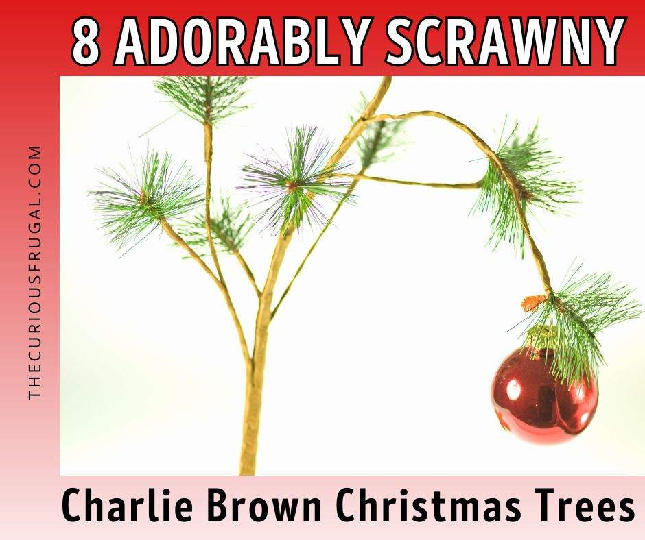 Charlie Brown Christmas trees are the cutest Christmas decorating trend for anyone who loves simple, rustic holiday decor! These 8 adorably scrawny Christmas trees prove you don't need a big, bushy tree to make your home feel festive. From tiny minimalist Christmas trees to charming little trees with sparse branches, these budget-friendly Christmas tree ideas are full of personality. Who knew a sad little Christmas tree could be so darn cute? Get inspired to embrace the imperfect this holiday season!
